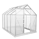 Zelsius Aluminium Gewächshaus für den Garten | inklusive Fundament | 250 x 190...
