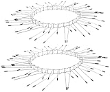 Exbuster Marderabwehr Baum: 2er-Set Marder-& Katzen-Abwehrgürtel, Edelstahl,...
