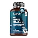 WeightWorld Kollagen Kapseln - 1170mg pures Marine Collagen - 120 Capsules -...