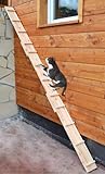 Ruhti - Katzentreppe Katzenleiter Katzenstufe für Balkon, Treppe etc.| 1 bis 7...