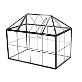 lesolar Terrarium Mini Gewächshaus Glas Geometrische Pflanze...