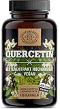 Quercetin 1000mg -WICHTIG: 25:1 Extrakt (25000mg reiner japanischer Schnurbaum...