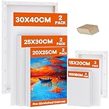Koncci Leinwand zum Bemalen, 10 Stück 5 Größe Keilrahmen,10x15, 15x20, 20x25,...