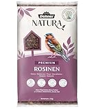 Dehner Natura Premium Wildvogelfutter, Rosinen Delikatesse, Futterrosinen,...