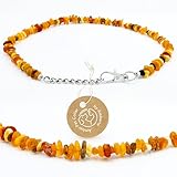 Amberta Bernstein Halsband für Hunde und Katzen | Bernsteinkette für Hunde |...