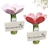 Alovez 2 Stück Bienentränke für Den Garten, InsektenträNke Keramik,...