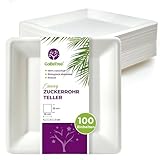 GoBeTree 100 quadratische Weiße Teller aus Zuckerrohr 26 cm, Extra Haltbare...