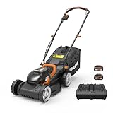 WORX WG779E.1 Akku-Rasenmäher 40V (2 x 20V) - 34 cm Schnittbreite - ideal für...