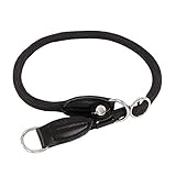 lionto Hundehalsband aus strapazierfähigem Nylon für Hundetraining, Länge 35...