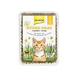 GimCat Hydro-Gras - Frisches Katzengras aus kontrolliertem Feldanbau in nur 5...