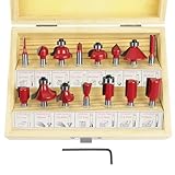 flintronic Fräser-Set, 6.35MM Fräsen Werkzeug Set, 15-TLG Holzkoffer...
