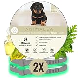 🅽🅴🆄: Animalea® Zeckenhalsband für kleine Hunde - Länge 38cm - 100%...