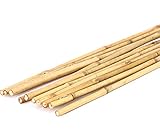 15er Set Tonkin Bambusrohre 240cm naturbelassen mit 1,4 - 1,6cm Durchmesser -...