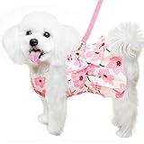 Hundekleid für weibliche Kleine Hunde,Hund Kleider Geschirr und Leine,Dog Kleid...