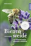 Bienenweide: 220 Trachtpflanzen erkennen und bewerten