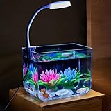 Mini Aquarium Klein Aquarien, WüRfel Aquarium Komplett Set Mit Klemmlicht,...