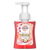 Sagrotan Samt-Schaum Seife Kirschblüte & Rose – 1 x 250 ml Schaumseife im...