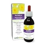 Habichtskraut (Hieracium pilosella) Kraut Alkoholfreier Urtinktur Naturalma -...