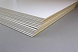 5 Stück Zuschnitte MDF Holzwerkstoff Platten Einseitig Weiß lackiert 50x70 cm...