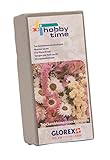 GLOREX 6 3804 720 - Steckschaum für Trockenblumen, Steckmasse für...