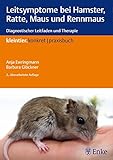 Leitsymptome bei Hamster, Ratte, Maus und Rennmaus: Diagnostischer Leitfaden und...