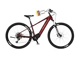 Fischer E-Mountainbike MONTIS 7.0i Elektrofahrrad für Damen und Herren, RH 46...