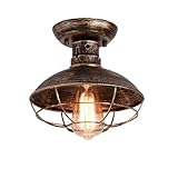 Qcyuui Vintage Deckenlampe Industrial Style mit Metallkäfig, E27 Retro...