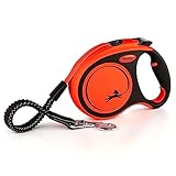 flexi® Xtreme L Gurt 5 m schwarz, extrem beißfester oranger Gurt, extra...