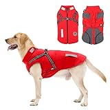 Hundemantel, Winter Hundejacke Wasserdicht Winddichte mit bauchschutz, Outdoor...