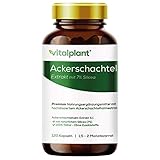 Vitalplant® Ackerschachtelhalm Extrakt 500mg im Braunglas - 120 Kapseln...