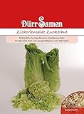 Zichoriensalat Zuckerhut Samen Uranus Salat Zuckerhutsamen ca 500 Korn...