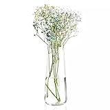 Krosno Tall Glass Flower Vase | Pure Collection | 240 mm Höhe Glasvasen für...