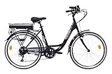 Denver Discovery E4000 E-Bike, City Bike mit 26 Zoll Rädern, Shimano...