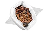 Alpenwurm 1KG Kompostwürmer (min. 1000Stk.) Regenwürmer, Gartenwürmer
