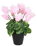 Künstliche Alpenveilchen im Topf Blume Deko Dekoblume Dekopflanze Frühjahr...