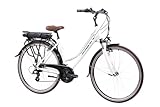 F.lli Schiano E-Ride, E Bike Trekking 28 Zoll, 36V 10.4Ah Abnehmbarer Akku,...