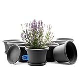 BigDean 8 Stück Blumentopf mit Untersetzer rund ø 25 cm Anthrazit –...