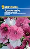 Kiepenkerl Sommermalvensamen Mischung 813 - Besonders gut zwischen hohen Stauden...