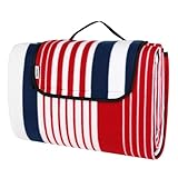 DETEX® Picknickdecke Campingdecke XXL 200x200 cm Wasserdicht Wärmeisoliert...