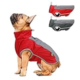 AxSpeed Hundebekleidung für Herbst und Winter, warm, gepolstert, wasserdichte...