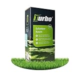 Schattenrasen Turbogrün 50m², Schattenrasensamen, Grassamen Schattenrasen,...