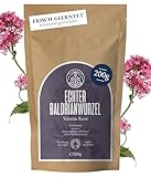 Baldrianwurzel Tee Monte Nativo (200g) – Baldrian Tee lose (Valerian Root) –...