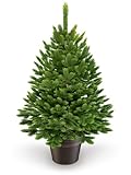 ArtiTree - Künstlicher Weihnachtsbaum 40cm im Topf - Christmas Tree für Innen...