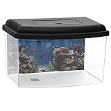 GarPet Mini Aquarium Terrarium Faunarium Zucht Becken klein Fisch Triops...