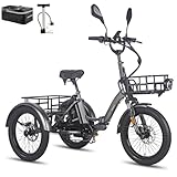 Fafrees F20 Mate Straßenzulässig E-Bike Dreirad Klapprad 48V Senioren [...