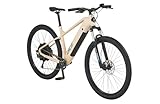 Prophete DICE 2.0 E-MTB 29' – Enovation Hinterradmotor 48V, 250W, 46Nm, 9-Gang...