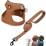 BELLA & PAL Hundegeschirr Kleine Hunde mit Leine, Step-in Geschirr aus Air Mesh,...