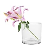 TREND FOR HOME Deko-Glasbehälter 19 cm Zylinder Vase Blumenvase Kerzenständer...
