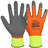 ACE Frost Thermo Arbeits-Handschuh - Kälte-Schutz-Handschuhe für die Arbeit im...