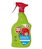 PROTECT GARDEN Curamat Plus Rosen-Pilzfrei Spray, anwendungsfertiges Spray gegen...